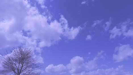 Cielo-Nublado-Azul-En-Un-Brillante-Día-De-Primavera