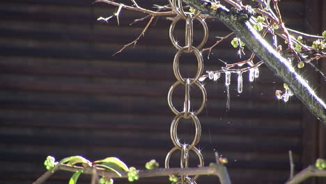 Water-from-melting-snow-drips-down-Japanese-rain-chain-and-forms-icicles-on-tree-branches