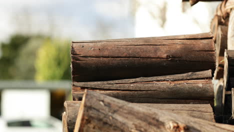 Person-Placing-Wooden-Log-On-A-Pile-During-Sunny-Day