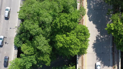 Eine-Luftaufnahme-Direkt-über-Einem-Parkway-Median-Mit-Grünem-Gras-Und-Bäumen