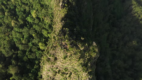4K-Drohne,-Die-Während-Des-Sonnenuntergangs-Im-Border-Ranges-Nationalpark,-New-South-Wales-In-Australien,-Auf-Einen-Mit-Bäumen-Bedeckten-Berggipfel-Herunterkippt