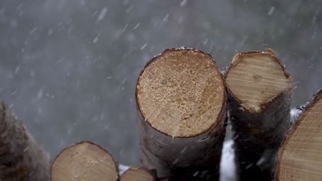 Timber-tree-trunks-firewood-stock-pile-surrounded-by-Swedish-snowfall---Close-up-static-shot