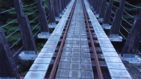 Walking-over-old-bridge-in-the-Shiratani-Unsuikyo-Ravine-Forest,-Yakushima-Japan