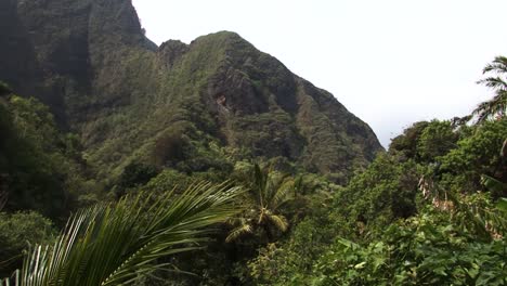 Parque-Estatal-Del-Valle-De-Iao,-Montañas-Del-Oeste-De-Maui-Y-La-Selva-Tropical,-Hawaii