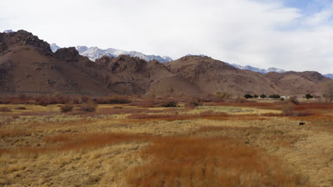 Dry-Desert-Grasslands-At-Eastern-Sierra-With-Mountains-In-Distance