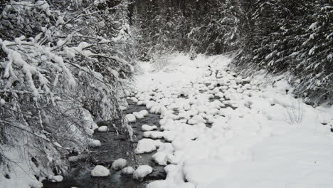 Snow-filled-Stream-And-Hoarfrost-On-Trees-In-Kokanee-Creek-Provincial-Park-In-British-Columbia-At-Winter