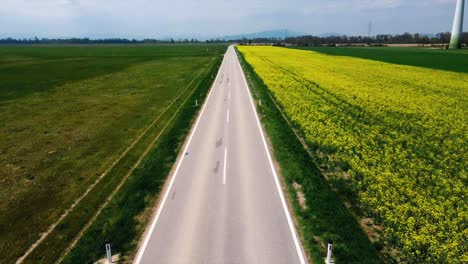 AERIAL---Highway-and-field-of-yellow-flowers,-Baden,-Austria,-wide-shot-forward