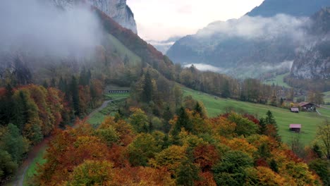 Aerial-shot-of-forest-in-fall-season-with-mountains-on-the-background