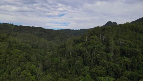 Vista-Panorámica-De-La-Selva-Tropical-Verde-En-El-Valle-De-Currumbin-En-El-Interior-De-Queensland,-Australia