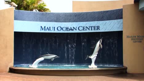 Maui-Ocean-Center,-Malaea,-Acuario-De-Hawái