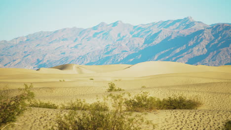 Ondulantes-Dunas-Del-Desierto-En-Mezquite-Con-Arbustos-Y-Montañas-Distantes-En-La-Distancia