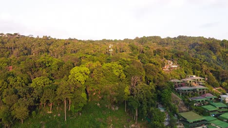 Tiro-Aéreo-De-Drones-Volando-Sobre-árboles-Tropicales-Verdes-En-La-Isla-Phi-Phi,-Tailandia