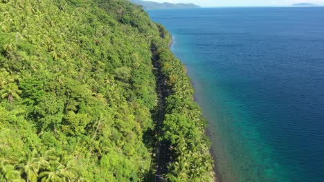 Küstenstraße-Auf-Der-Grünen-Tropischen-Insel-Mit-Meerblick-Auf-Den-Philippinen