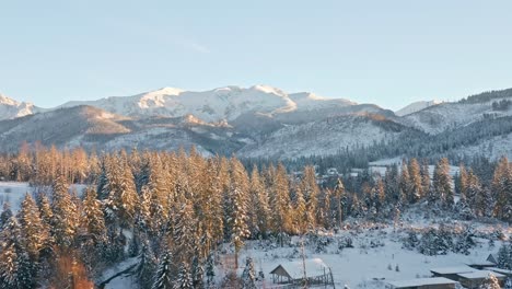Bosques-Nevados-En-Temporada-De-Invierno,-Koscielisko-En-Polonia