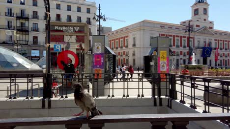 Pigeon-on-fence-of-Metro-entrance-in-Puerta-del-Sol,-Madrid