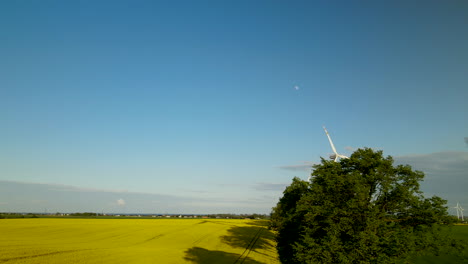 Aerial-trucking-shot-showing-yellow-canola-field,-trees-and-rotating-wind-turbines-during-blue-sky-and-moon