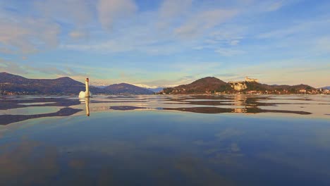 Anmutiger-Und-Eleganter-Weißer-Schwan-Schwimmt-Auf-Der-Spiegelfläche-Des-Lago-Maggiore-In-Italien