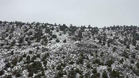 A-drone-flight-over-a-frozen-hill-after-a-winter-storm