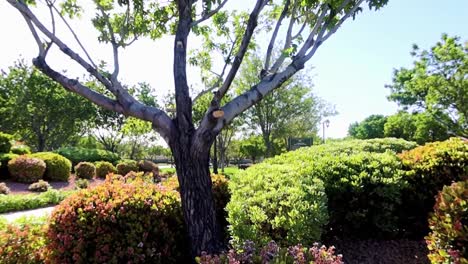 Park-in-the-suburbs-with-floral-panorama