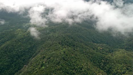 aerial-footage-of-tropical-rain-forest-and-clouds-passing