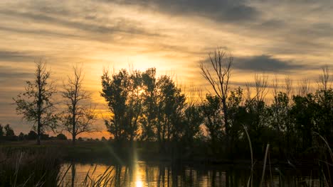 Glorious-golden-sunrise-over-a-pond-and-trees-with-the-sky-reflecting-on-the-water---time-lapse