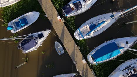 Aerial-rising-over-expensive-yachts-docked-inline-in-Olivos-Port-on-the-side-of-de-la-Plata-River,-Buenos-Aires