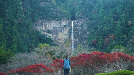 Slow-motion,-person-stands-in-front-of-waterfall-surrounded-by-forest,-Japan