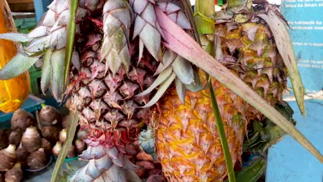 Freshly-picked-harvested-pineapples-hanging-on-a-stall-at-fruit-and-vegetable-market-on-tropical-island-Timor-Leste,-South-East-Asia