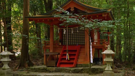 Estático,-Santuario-Entre-árboles,-Kumano-Kodo-Japón
