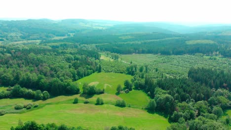 Drohnenflug-über-üppig-Grünen-Sommerwald-Und-Berglandschaft
