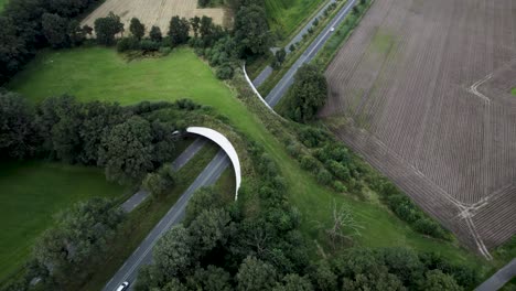 Aerial-of-wildlife-crossing-forming-a-safe-natural-corridor-bridge-for-animals-to-migrate-between-conservancy-areas-with-cars-passing-beneath