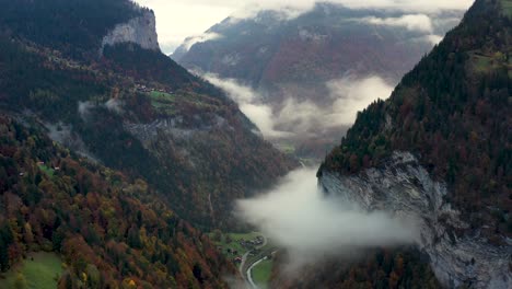 Wald-In-Der-Herbstsaison-Mit-Bergen-Im-Hintergrund