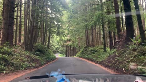 Video-taken-through-the-windshield-of-a-car-driving-through-a-lush-forest