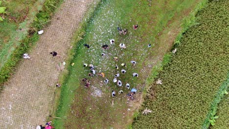 Unity-gesture-of-rural-Indonesia-local-community-group,-aerial-top-view
