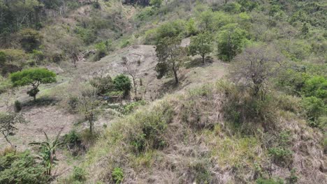 Abundante-Vegetación-En-Una-Zona-Montañosa-Vista-Desde-Un-Escaneo-De-Drones