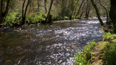 Fresh-water-flowing-down-the-river-teign-in-Dartmoor-national-park