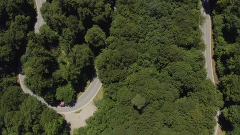 Top-down-drone-shot-at-a-red-car-which-is-driving-along-a-curvy-road-with-other-cars-passing-by-the-street-at-daytime-in-summer