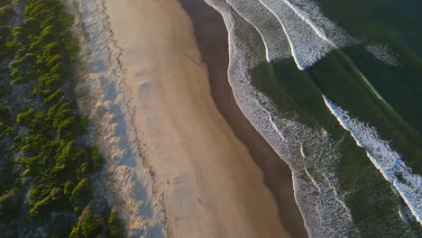 Top-View-Of-Isolated-Back-Beach-With-Green-Vegetation-At-The-Shoreline-In-NSW,-Australia