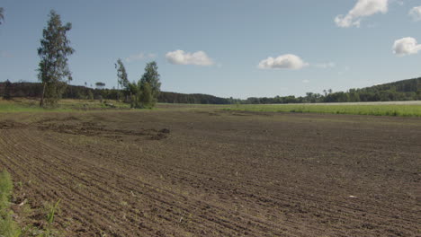 2-MONTH-TIMELAPSE-ZOOM-OUT-of-crops-growing-from-tilled-field
