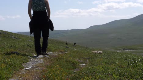 Arctic-nature-landscape-of-an-adult-woman-walking-down-on-the-mountain-trail-with-others-hikers-in-close-distance-during-summer-in-Jämtland-Sweden