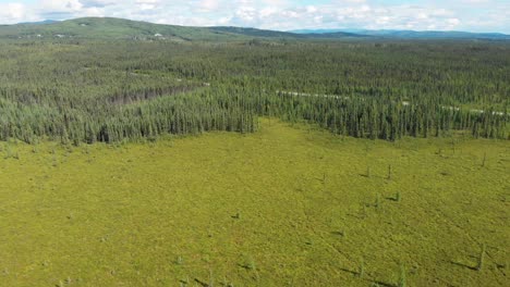 4K-Drone-Video-of-Summer-Tundra-Wilderness-near-Fairbanks,-Alaska