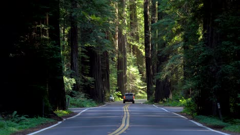 Cars-driving-the-Avenue-of-the-Giants-road-in-the-Humboldt-State-Park