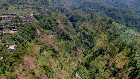 Campos-En-Terrazas-En-El-Valle-De-Umbul-Sidomukti-En-Ambarawa,-Indonesia