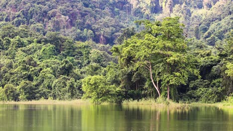 Una-Hermosa-Vista-De-Los-árboles-Junto-Al-Lago-Con-Reflejos-En-Tailandia