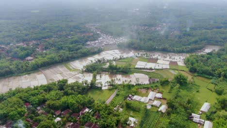 Bewässerte-Reisfelder-Im-Dorf-Pangenan-In-Muntilan-Indonesien