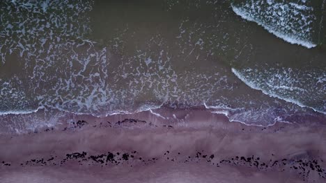 Beautiful-aerial-view-of-an-old-wooden-pier-at-the-Baltic-sea-coastline,-overcast-day,-white-sand-beach-affected-by-sea-coastal-erosion,-calm-seashore,-wide-birdseye-drone-dolly-shot-moving-right