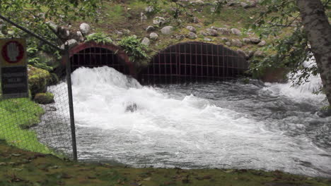 Wasser-Verlässt-Das-Kraftwerk-Clayton-Falls,-Nachdem-Wasserkraft-Erzeugt-Wurde