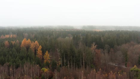 Steady-aerial-shot-of-a-foggy-forest-with-a-car-passing-by-the-natural-scenery