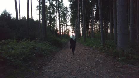 Young-woman-walks-along-a-path-through-a-conifer-forest-towards-a-clearing-in-the-distance