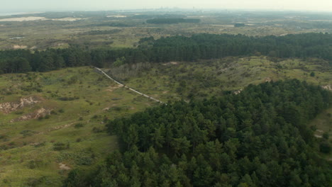 Antena-De-Frondosos-árboles-Forestales-Con-Pista-Aislada-En-El-Accidentado-Paisaje-Del-Parque-Nacional-Zuid-kennemerland-En-Países-Bajos